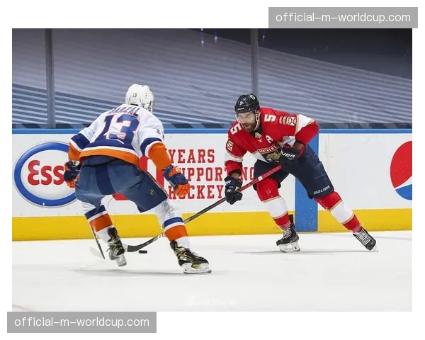 NHL季后赛对阵出炉，卫冕冠军佛罗里达美洲豹首轮对阵波士顿棕熊