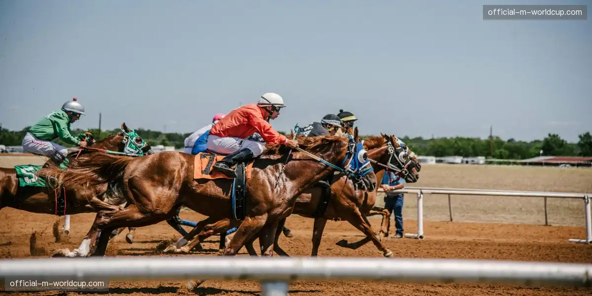 📡 实时链接赛场毫秒级同步，音画完美合一！🎯